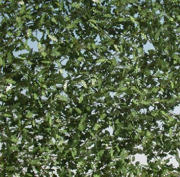 Silhouette 980-31 - Eichenlaub / Oak foliage