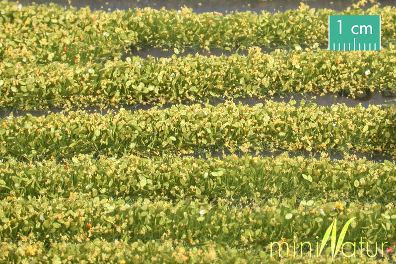 Silhouette 731-22 - Blütenstreifen / Blossom strip