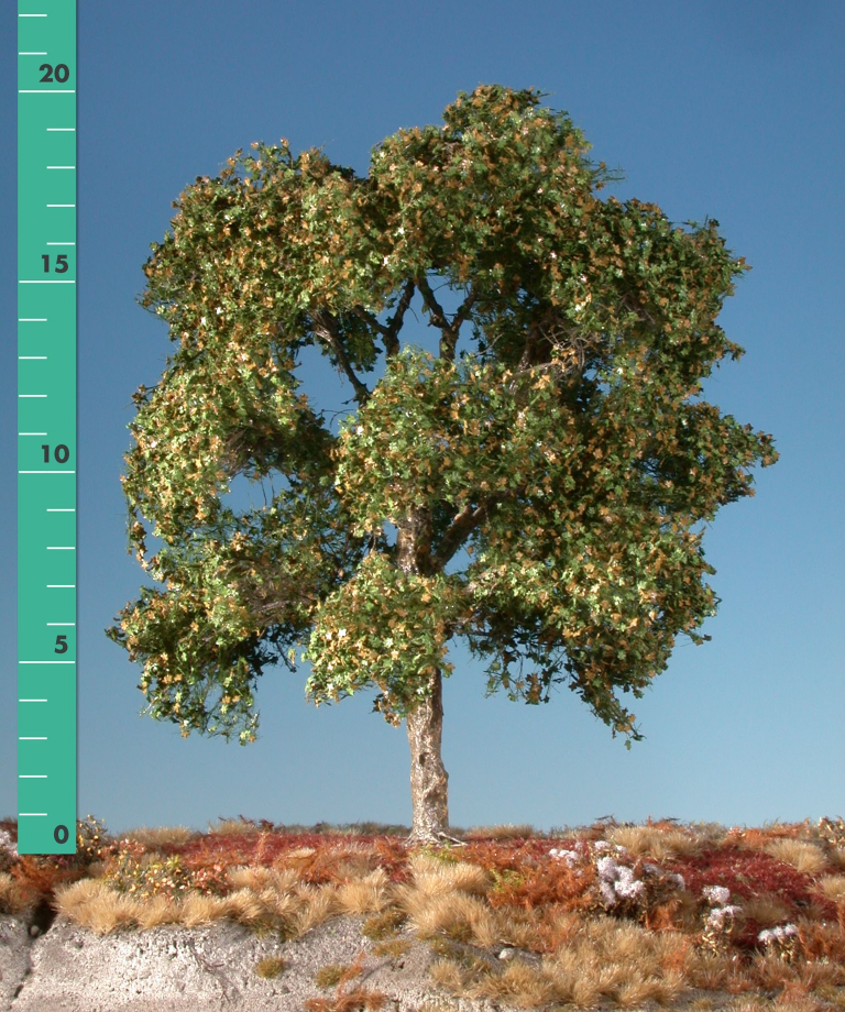 Silhouette 233-13 - Platane/ Plane-tree