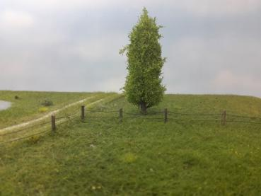 Silhouette 213-61 - Pappel / Poplar