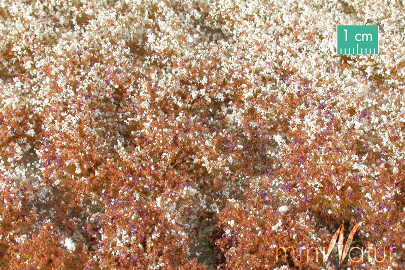 Silhouette 726-34 - Blütenbüschel / Blossom tufts