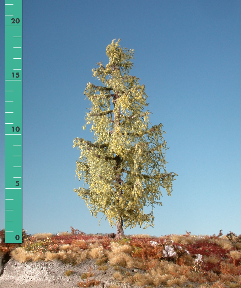Silhouette 279-23 - Lärche/ Larch