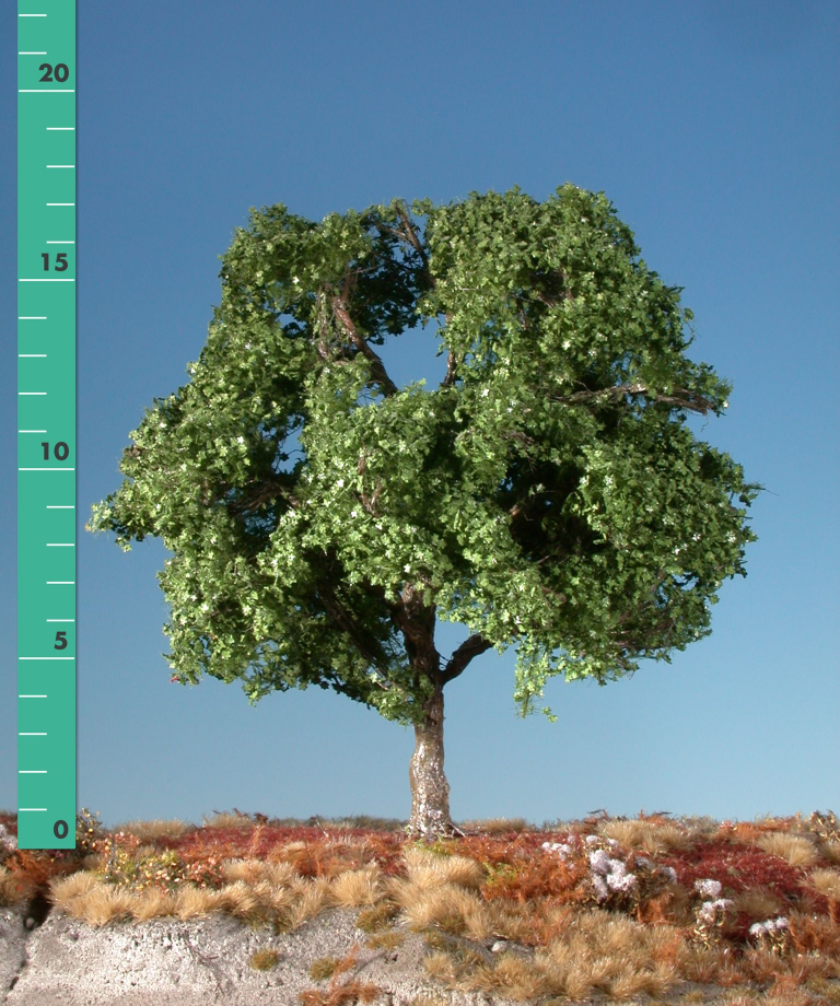 Silhouette 233-12 - Platane/ Plane-tree