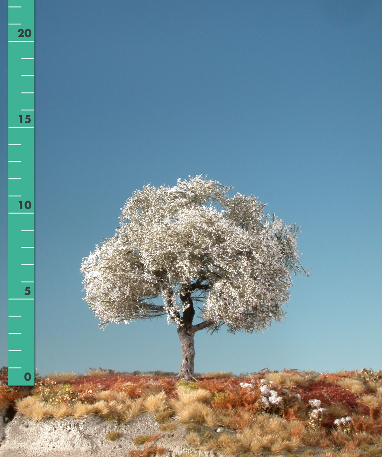 Silhouette 227-11 - Kirschbaum/ Cherry tree