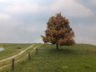 Silhouette 220-64 - Buche/Beech