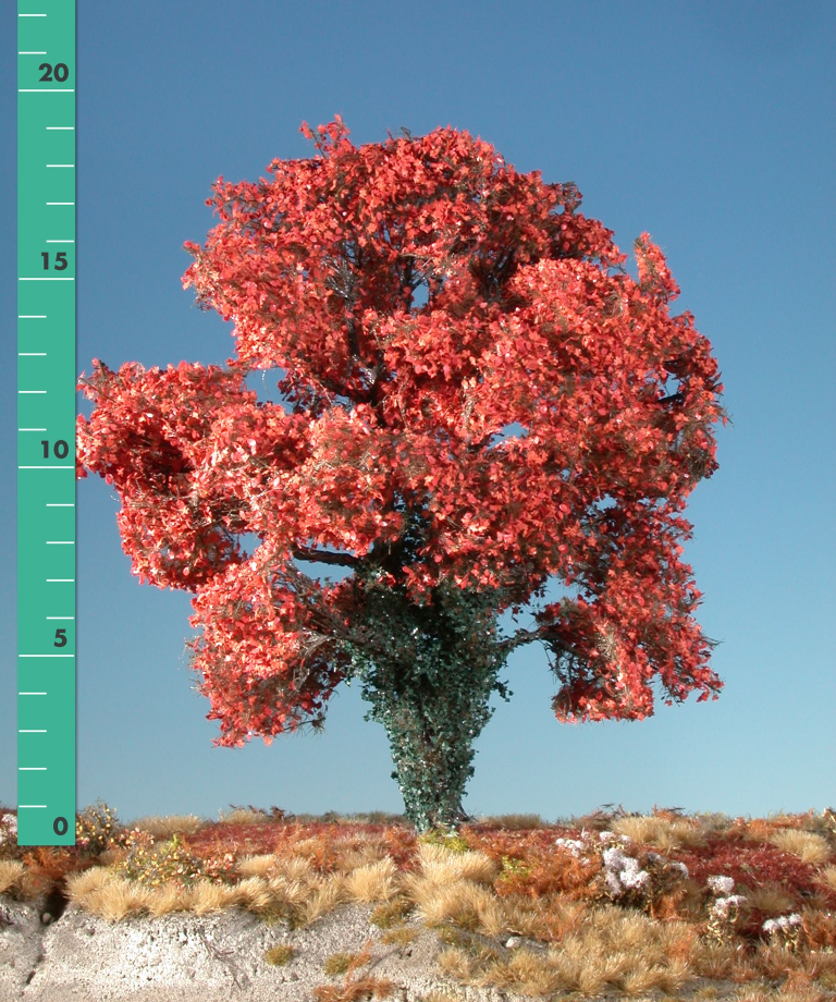 Silhouette 231-25 - Ahorn (rot) mit Efeu bew.