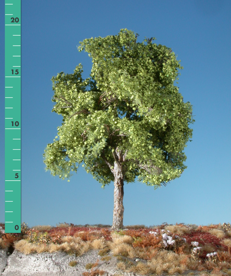 Silhouette 233-21 - Platane/ Plane-tree