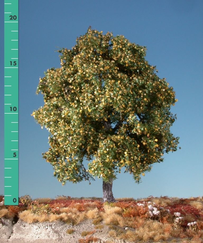 Silhouette 230-23 - Ahorn/ Maple