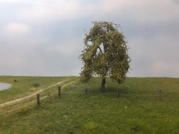 Silhouette 240-63 - Trauerweide/ Weeping willow
