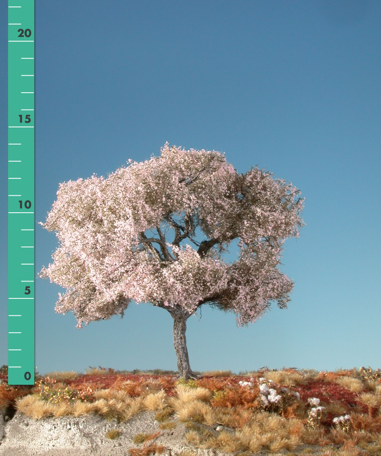 Silhouette 227-05 - Kirschbaum/ Cherry tree