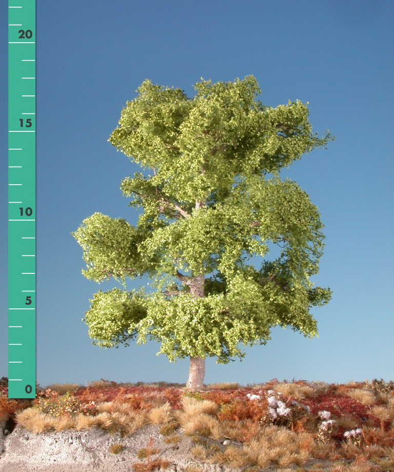 Silhouette 220-21 - Buche/Beech