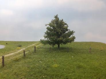 Silhouette 226-63 - Apfelbaum/ Appletree