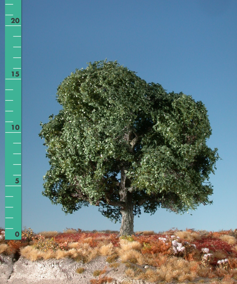 Silhouette 280-12 - Eiche/ Oak