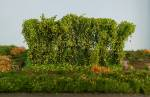 Silhouette 254-41 - Hecken / Hedges