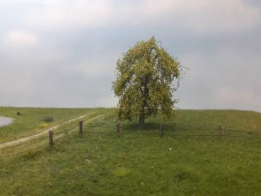 Silhouette 240-61 - Trauerweide/ Weeping willow