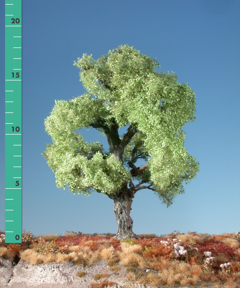 Silhouette 280-11 - Eiche/ Oak