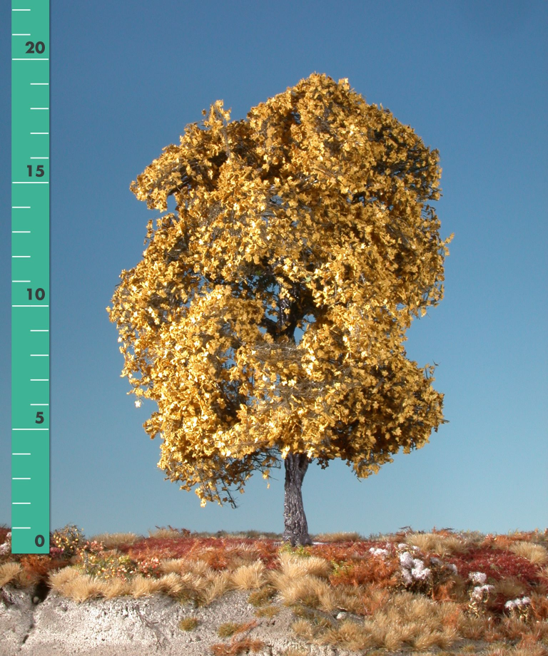 Silhouette 230-24 - Ahorn (gelb)/ Maple Yellow