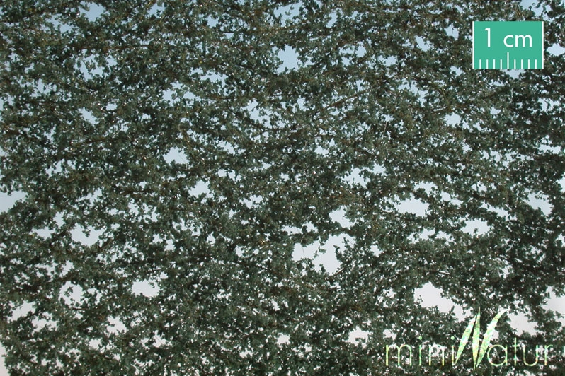 Silhouette 936-12SX - Efeu / Ivy