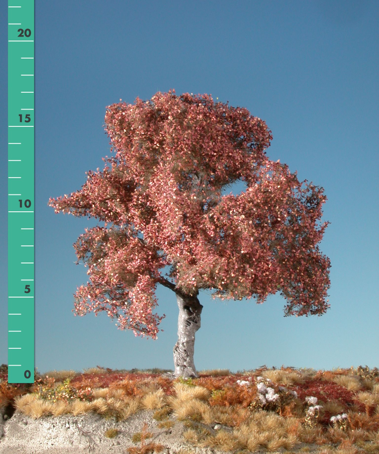 Silhouette 220-24 - Buche/Beech