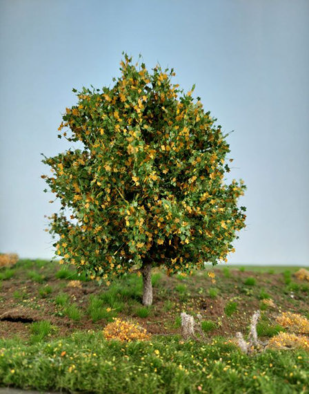 Silhouette 230-63 - Ahorn/ Maple