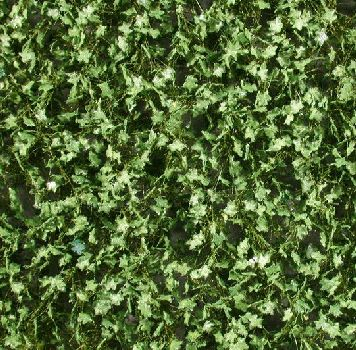 Silhouette 930-22 - Ahornlaub /  Maple foliage