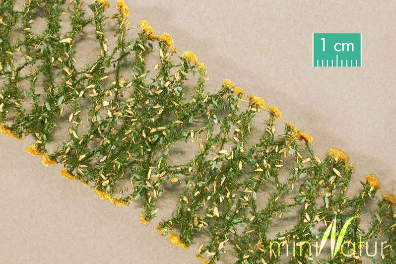 Silhouette 997-23 - Goldrute / Goldenrod