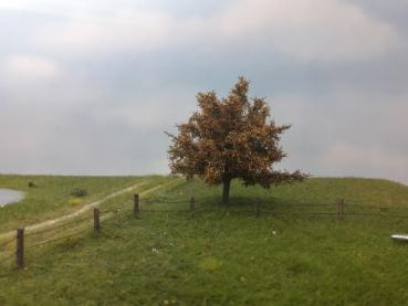 Silhouette 226-64 - Apfelbaum/ Appletree
