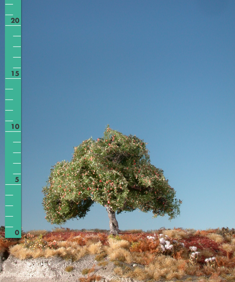Silhouette 226-13 - Apfelbaum/ Appletree