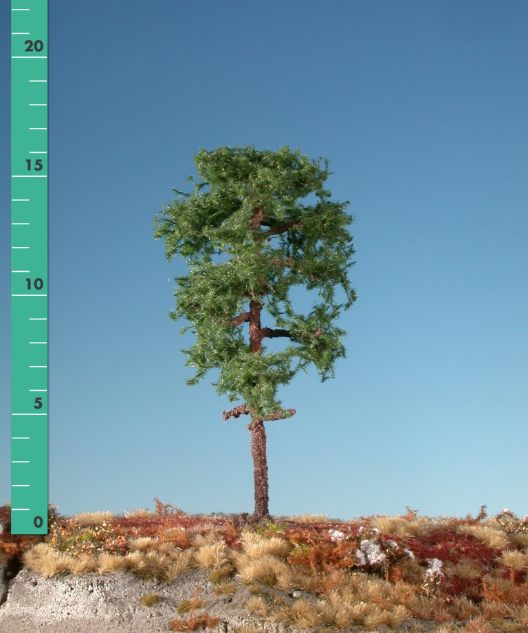 Silhouette 270-12 - Waldkiefer/ Forest Pine