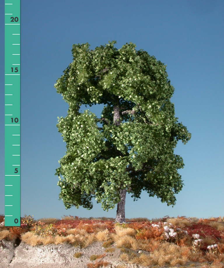 Silhouette 230-12 - Ahorn/ Maple