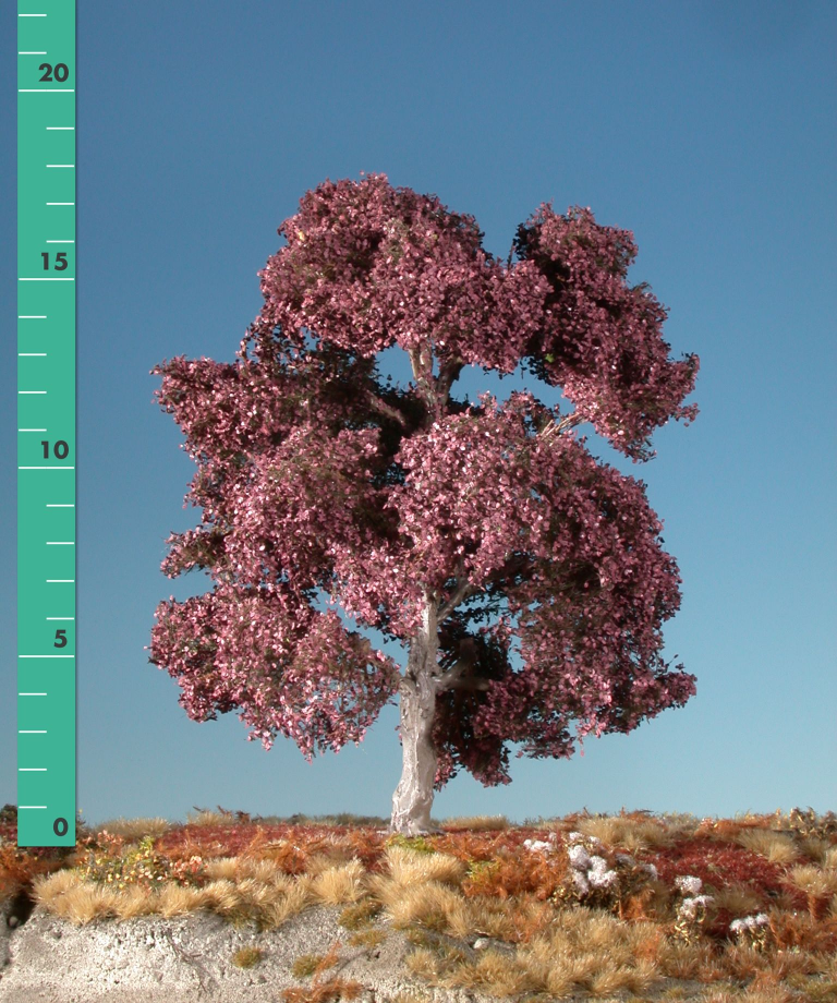 Silhouette 222-12 - Blutbuche/Copper beech
