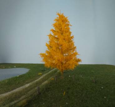 Silhouette 279-64 - Lärche/ Larch  NZ