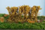Silhouette 254-44 - Hecken / Hedges