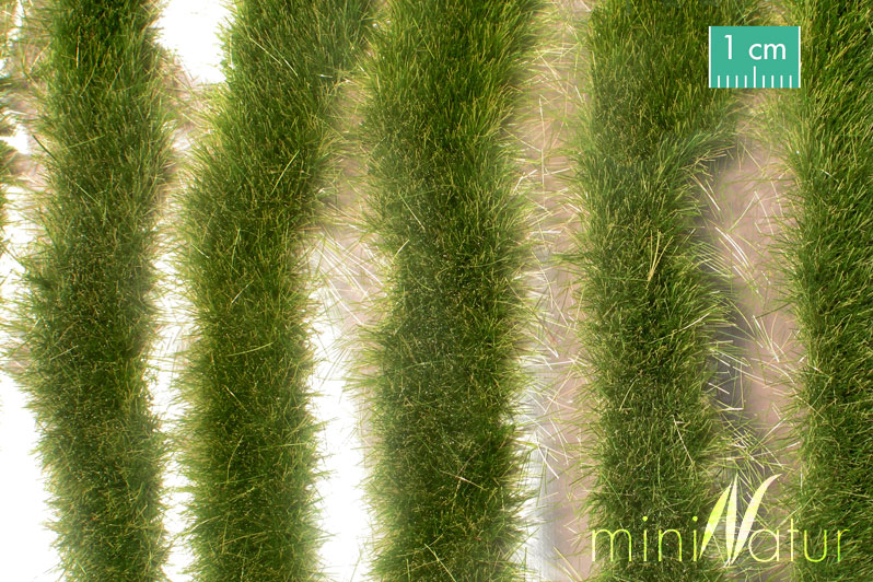 Silhouette 728-33 - Grasstreifen lang / Grass stri