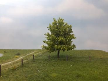Silhouette 233-61 - Platane/ Plane-tree