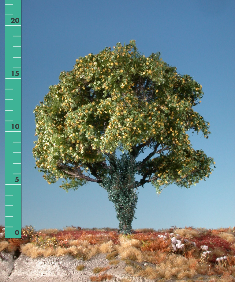 Silhouette 231-23 - Ahorn mit Efeu bew.