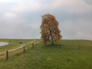 Silhouette 240-64 - Trauerweide/ Weeping willow