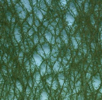 Silhouette 973-22 - Fichte / Green spruce