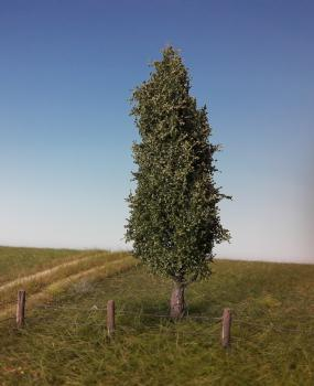 Silhouette 213-62 - Pappel / Poplar