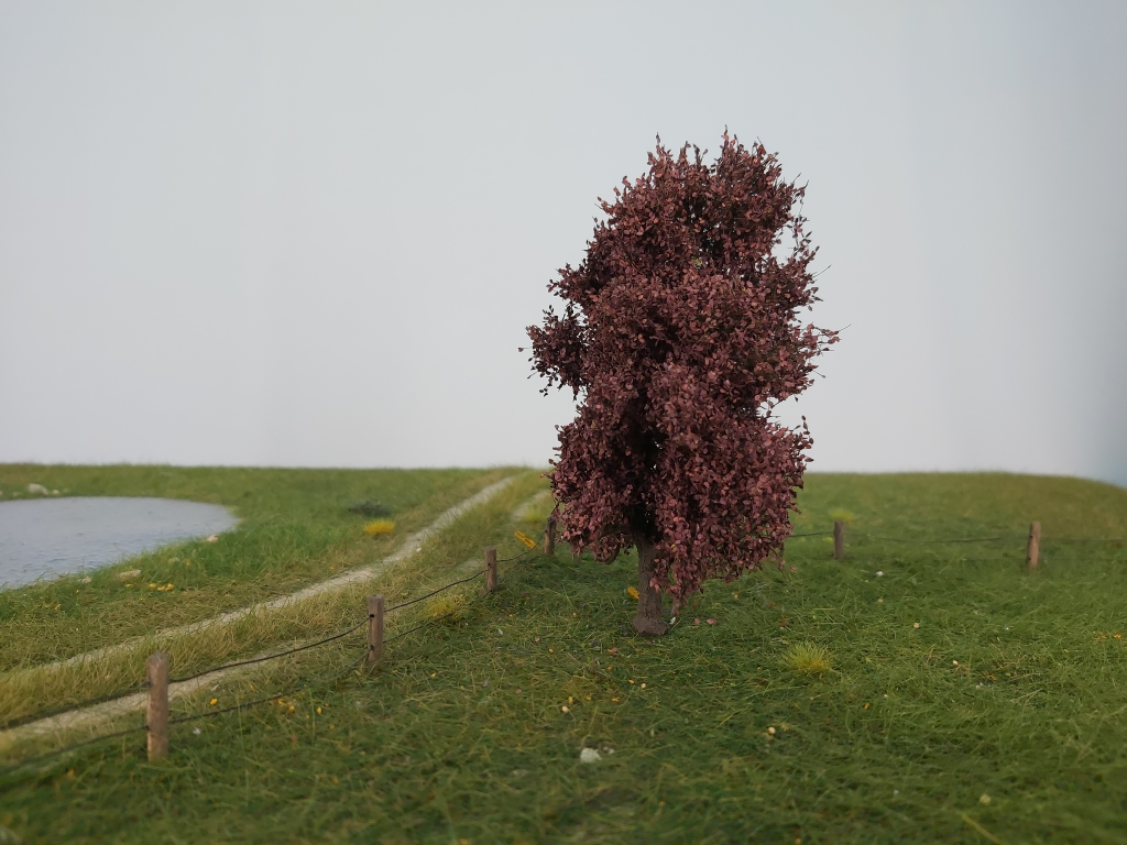 Silhouette 222-42 - Blutbuche / Copper beech
