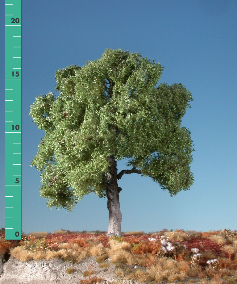 Silhouette 220-12 - Buche/Beech