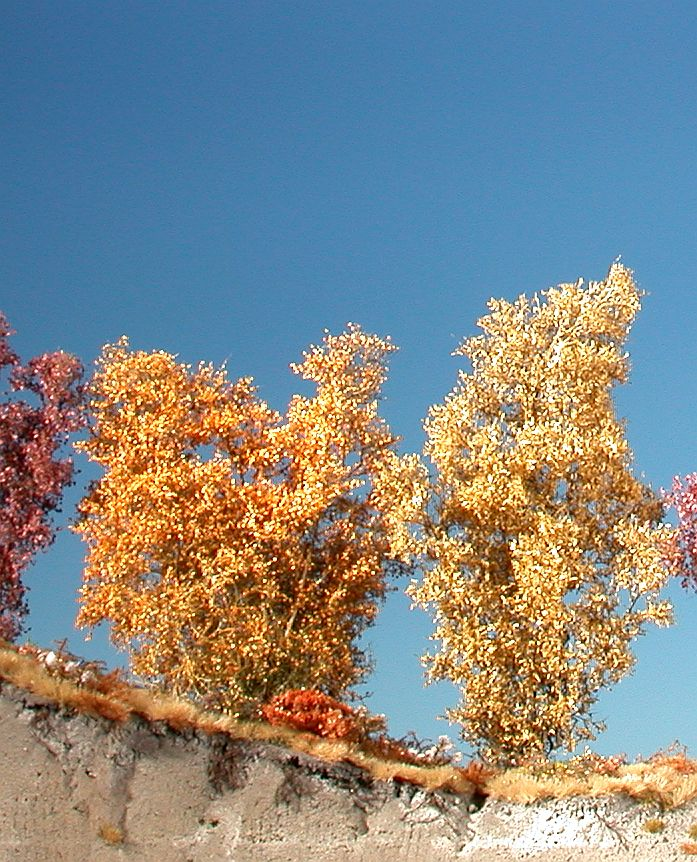 Silhouette 100-14 - Filigranbüsche / Filigree bush