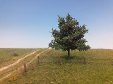 Silhouette 226-62 - Apfelbaum/ Appletree