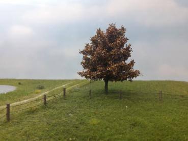 Silhouette 233-64 - Platane/ Plane-tree