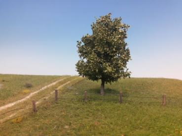 Silhouette 233-62 - Platane/ Plane-tree