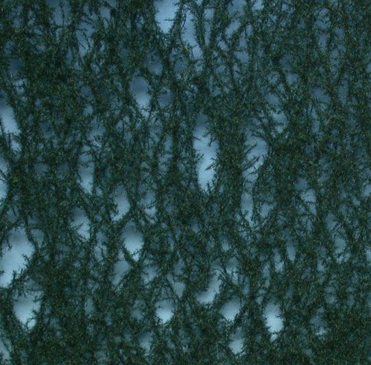 Silhouette 976-22S - Tanne /  Nordic fir