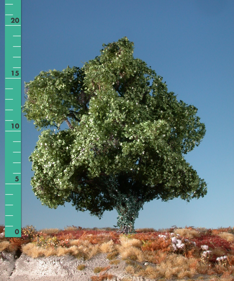 Silhouette 231-22 - Ahorn mit Efeu bew.