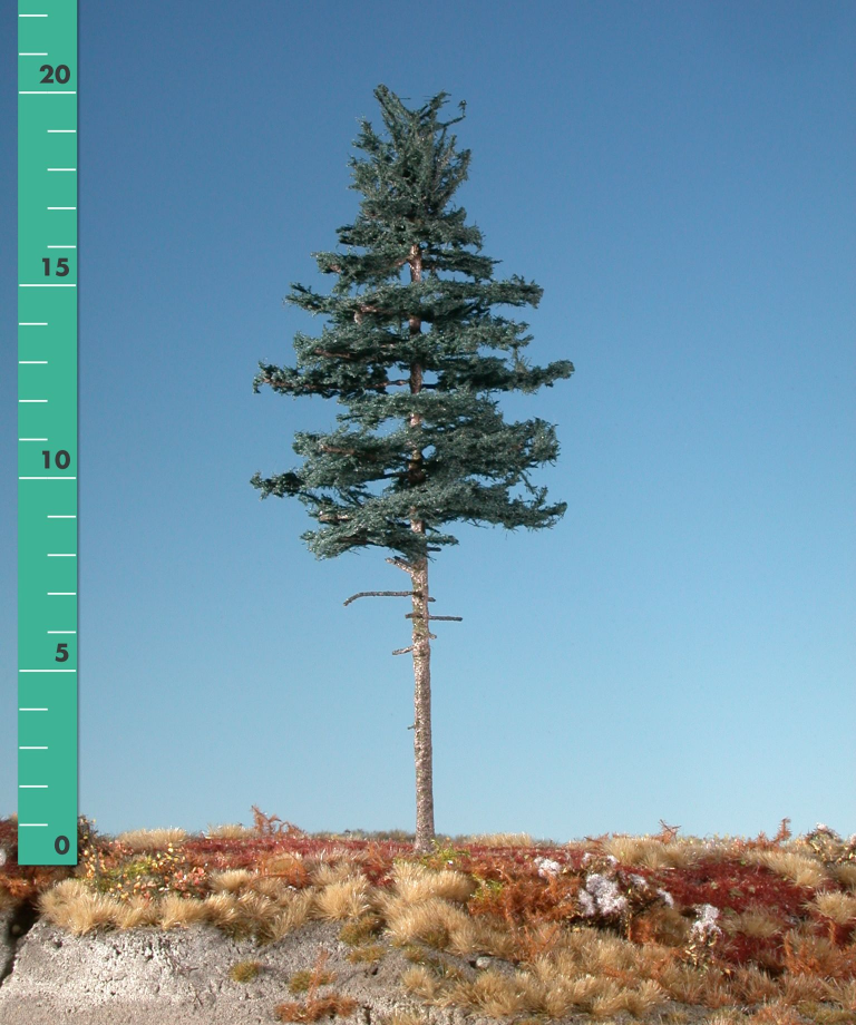 Silhouette 277-22 - Tanne Hochstamm/ Nordic fir hi