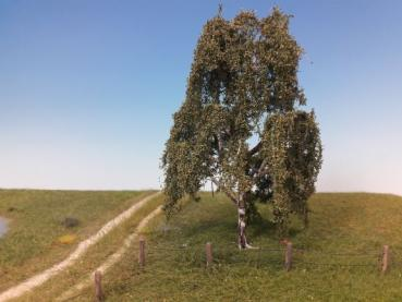 Silhouette 211-62 - Hängebirke/ Weeping birch