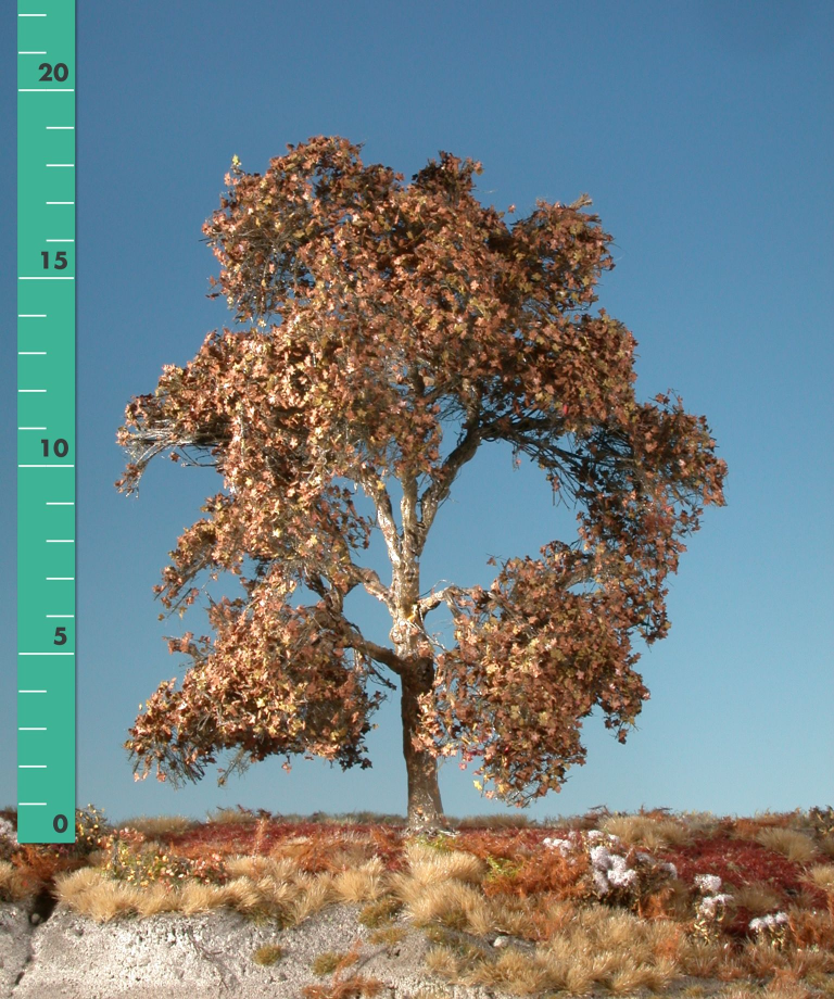 Silhouette 233-24 - Platane/ Plane-tree